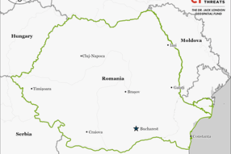 Știri de azi | O victorie a extremei drepte în România ar putea face să avanseze obiectivele Kremlinului – analiză ISW - Știri de azi | 