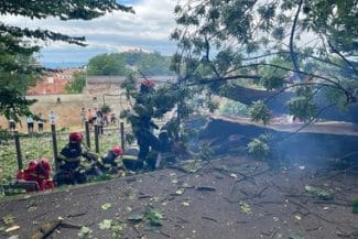 copac-cazut-brasov-primariejpg - Știri de azi Știri de azi | Dosar penal după ce un copac a căzut peste doi oameni la Braşov, unul dintre ei murind. Procurorii anunţă că vor solicita expertize - Știri de azi |