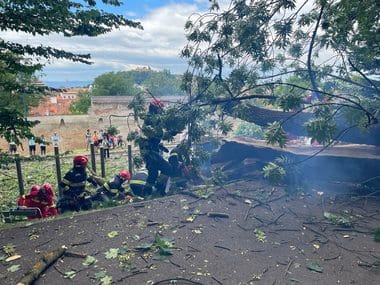 Știri de azi | Dosar penal după ce un copac a căzut peste doi oameni la Braşov, unul dintre ei murind. Procurorii anunţă că vor solicita expertize - Știri de azi | 