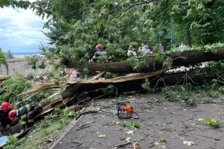 media-175127815709756000jpg - Știri de azi Știri de azi | S-a deschis dosar penal după tragedia de la Braşov: Un om a murit strivit de un copac, procurorii caută vinovaţii - Știri de azi |