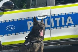 Știri de azi | Neamţ: Doi bărbaţi cu feţele acoperite au jefuit un vecin căruia i-au furat un portofel în care avea 4.000 de euro / Ei au fost prinşi de poliţişti cu ajutorul unui câine specializat în analizarea mirosul uman când îşi incendiau hainele purtate la jaf - Știri de azi | 