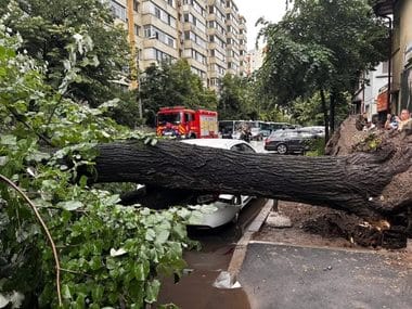 Știri de azi | Timişoara: Copac căzut peste un bărbat, în timpul unei vijelii - Știri de azi | 