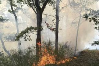 5f5024fe-d979-4fc1-a2b0-060842a843b2jpg - Știri de azi Știri de azi | Alba: Incendiul din zona localităţii Laz, stins în urma unei intervenţii dificile, în condiţii de temperaturi extreme şi vânt. Focul s-a extins pe 35 de hectare - Știri de azi |