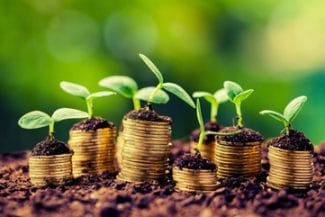 agricultura-banijpg - Știri de azi Știri de azi | Fondurile destinate Politicii Agricole Comune vor scădea semnificativ, spune şeful AFIR - Știri de azi |