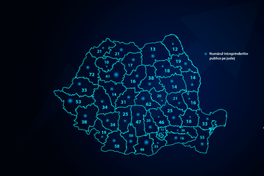 captura-de-ecran-2025-07-23-201910png - Știri de azi Știri de azi | Lista companiilor de stat şi datele financiare ale acestora, publicată de Agenţia pentru Monitorizarea şi Evaluarea Performanţelor Întreprinderilor Publice / Hidroelectrica, Romgaz şi Nuclearelectrica, cele mai mari profituri – STATISTICI - Știri de azi |