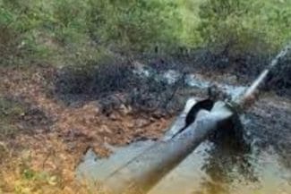 conducta-xjpg - Știri de azi Știri de azi | Columbia: Un atac cu bombă a provocat suspendarea pompării petrolului pe conducta Cano Limon-Covenas - Știri de azi |