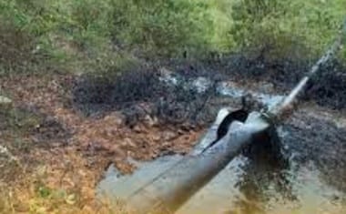 Știri de azi | Columbia: Un atac cu bombă a provocat suspendarea pompării petrolului pe conducta Cano Limon-Covenas - Știri de azi | 