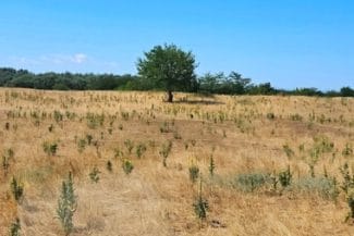 Știri de azi | Ministrul Mediului, Diana Buzoianu: Există schimbări climatice şi deja ele ne afectează. Vedem sudul României care este în proces de deşertificare, vedem inundaţiile şi fenomenele extreme - Știri de azi | 