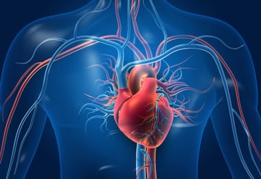 inima-shutterstock-1576424071jpg - Știri de azi Știri de azi | Un nou instrument prezice mai precis riscul de boli cardiovasculare - Știri de azi |