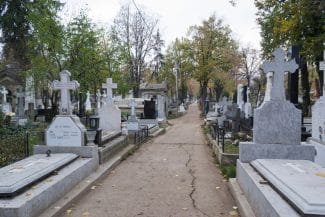 media-173995531961159100jpg - Știri de azi Știri de azi | Fraudă de 1,3 milioane lei cu monumente funerare, descoperită de DGAF în Iași - Știri de azi |