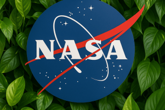 media-174506586346073100png - Știri de azi Știri de azi | NASA va pierde, practic, aproape 20% din totalul angajaților, ca urmare a campaniei lui Trump - Știri de azi |