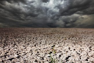 Știri de azi | Alarmă în agricultură: seceta a afectat grav culturile din Alba - Știri de azi | 