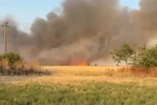 Știri de azi | Vești proaste din Delta – Incendiul de la Chilia s-a reaprins; a fost solicitat sprijin aerian - Știri de azi | 