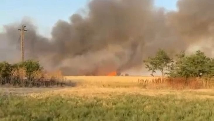 Știri de azi | Vești proaste din Delta – Incendiul de la Chilia s-a reaprins; a fost solicitat sprijin aerian - Știri de azi | 