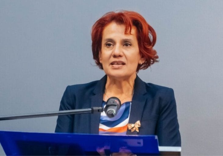 Știri de azi | Fostă deputată, despre cum și-ar fi numit Ioana Ene Dogioiu editorialul despre cazul Anastasiu dacă nu ar fi fost purtător de cuvânt la Guvern - Știri de azi | 