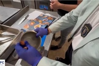 Știri de azi | ANPC a controlat 36 de operatori economici de pe litoral şi a dat amenzi de peste 250.000 de lei – Au fost găsite produse expirate și condiţii de igienă precare - Știri de azi | 