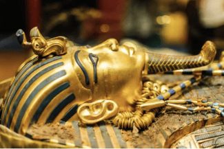 media-175230636163154400png - Știri de azi Știri de azi | Blestemul faraonului devine leac: Ciuperca ucigașă din mormântul lui Tutankamon, folosită în lupta cu cancerul - Știri de azi |