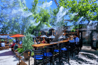 media-175238146318470000png - Știri de azi Știri de azi | Alertă sanitară în România: ‘boala legionarului’, molima care poate ucide rapid, este în creștere constantă în țara noastră - Știri de azi |