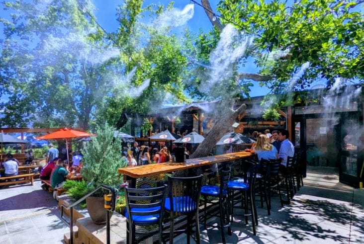 Știri de azi | Alertă sanitară în România: ‘boala legionarului’, molima care poate ucide rapid, este în creștere constantă în țara noastră - Știri de azi | 