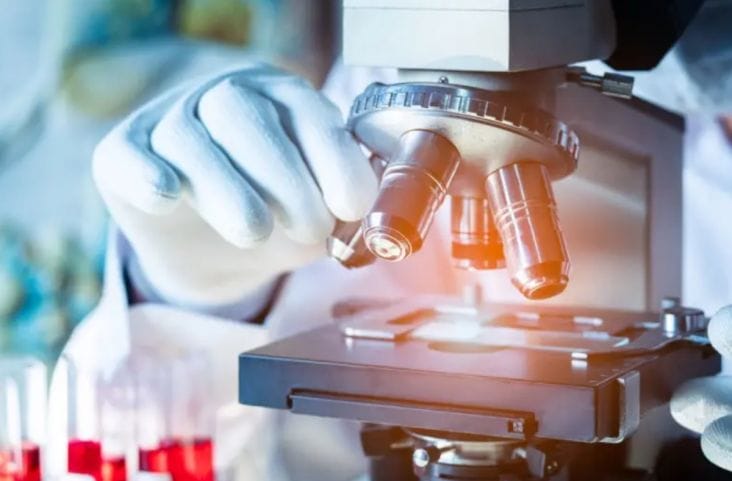 Știri de azi | Veste uriașă în lumea medicală: o substanță halucinogenă ar putea indeplini visul umanității - Știri de azi | 