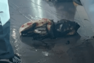 media-175319019735343000png - Știri de azi Știri de azi | VIDEO Panică la metrou: O baterie externă de telefon mobil a explodat și a rănit cinci persoane - Știri de azi |