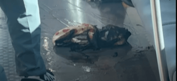 media-175319019735343000png - Știri de azi Știri de azi | VIDEO Panică la metrou: O baterie externă de telefon mobil a explodat și a rănit cinci persoane - Știri de azi |