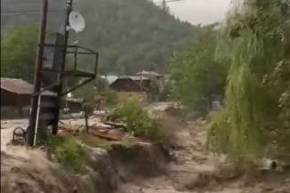 media-175364597250129300jpg - Știri de azi Știri de azi | VIDEO Codul roșu de furtună a făcut ravagii în mai multe județe: oameni luați de ape, case inundate, mașini prinse de viitură - Știri de azi |