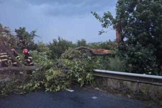 Știri de azi | Peste 2200 de consumatori din judeţul Bihor nu au în continuare energie electrică în urma furtunii de sâmbătă seară - Știri de azi | 