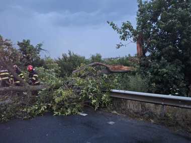 Știri de azi | Peste 2200 de consumatori din judeţul Bihor nu au în continuare energie electrică în urma furtunii de sâmbătă seară - Știri de azi | 