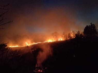 x-incendiu-bulgariajpg - Știri de azi Știri de azi | Bulgaria: Incendii violente fac ravagii, distrugând păduri şi case - Știri de azi |