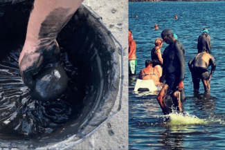 Știri de azi | Atenție turiști! Nămolul cumpărat de pe plajă este un adevărat pericol pentru sănătate: Este refolosit sau lipsit de calități terapeutice - Știri de azi | 