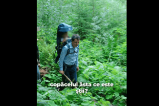 media-175545816872325600png - Știri de azi Știri de azi | VIDEO Nicușor Dan s-a filmat cu fiul lui în pădure: Vezi apa cum cade? Vezi triunghiul roșu? Uite, ce ne-a cules mami! - Știri de azi |