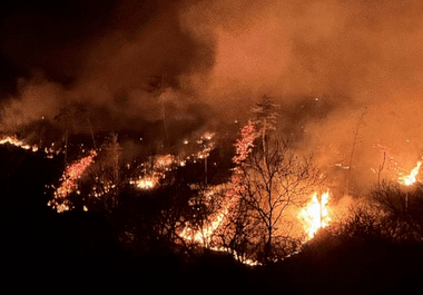 Știri de azi | Peste 200 de incendii, stinse de către pompierii militari în ultimele 24 de ore/ Cele mai multe au fost incendii de vegetaţie uscată, de păduri şi de mirişti - Știri de azi | 