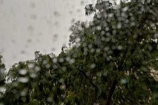 whatsapp-image-2024-07-16-at-18-03-56jpg - Știri de azi Știri de azi | Copaci doborâţi în urma unei furtuni, la Iaşi/ Un arbore a căzut peste un autoturism în care se afla o persoană, aceasta fiind scoasă de pompieri/ Un alt pom, căzut în curtea Institutului Regional de Oncologie - Știri de azi |