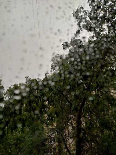 whatsapp-image-2024-07-16-at-18-03-56jpg - Știri de azi Știri de azi | Copaci doborâţi în urma unei furtuni, la Iaşi/ Un arbore a căzut peste un autoturism în care se afla o persoană, aceasta fiind scoasă de pompieri/ Un alt pom, căzut în curtea Institutului Regional de Oncologie - Știri de azi |