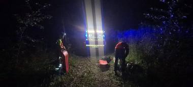 Știri de azi | Un bărbat de 39 de ani a murit, în zona greu accesibilă a localităţii Baia Mare, după ce a fost lovit de un copac - Știri de azi | 