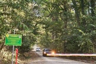 whatsapp-image-2025-09-04-at-14-29-57jpg - Știri de azi Știri de azi | UPDATE – Platforma Civică Împreună pentru Centura Verde solicită ministrului Mediului respectarea legii şi oprirea, de îndată, a traficului auto în Pădurea Băneasa / Alex Găvan: Mesajul nostru este „Pe aici nu se trece!” – FOTO, VIDEO - Știri de azi |