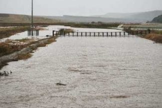 560599958-1161679912758207-5491091420992635998-njpg - Știri de azi Știri de azi | Cod roşu de inundaţii – Cote de pericol depăşite în judeţul Constanţa / 140 de litri pe metru pătrat, până la ora 12.00, la staţia Băltăgeşti / Care este situaţia în alte zone şi în Bucureşti - Știri de azi |