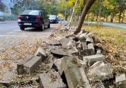 Știri de azi | Primăria Sector 3, amendată de Garda de Mediu pentru lucrări neautorizate în Parcul IOR / Comisarii au găsit gardul metalic care separa parcarea de zona verde a parcului îndepărtat, dar şi asfaltul decopertat – FOTO - Știri de azi - Page 41 | 