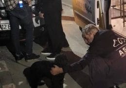 Știri de azi | Bucureşti: Bărbatul filmat când îşi loveşte câinele, urmărit penal / Anchetatorii au stabilit că animalul a fost lovit în mod repetat / Câinele, preluat de ASPA Bucureşti - Știri de azi - Page 117 | 