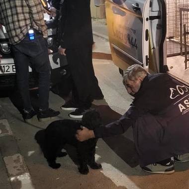 Știri de azi | Bucureşti: Bărbatul filmat când îşi loveşte câinele, urmărit penal / Anchetatorii au stabilit că animalul a fost lovit în mod repetat / Câinele, preluat de ASPA Bucureşti - Știri de azi - Page 89 | 