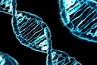 Știri de azi | Mutaţiile genetice din spermatozoizi pe măsură ce bărbaţii înaintează în vârstă cresc riscul de boli la copii, sugerează un studiu - Știri de azi | 