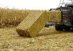 Știri de azi | Buzău: Un bărbat a murit prins într-un utilaj agricol - Știri de azi - Page 45 | 