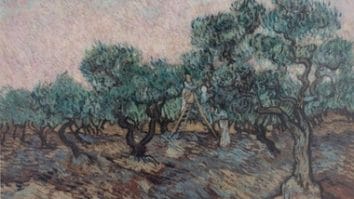 Știri de azi | Metopolitan Museum of Art, dat în judecată de o familie pentru un tablou al lui Van Gogh, presupus a fi fost confiscat de nazişti - Știri de azi | 