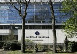 Știri de azi | Marea Armată a lui Napoleon a înfruntat ruşii, dar şi boli nebănuite, arată un studiu al Institutului Pasteur - Știri de azi - Page 96 | 