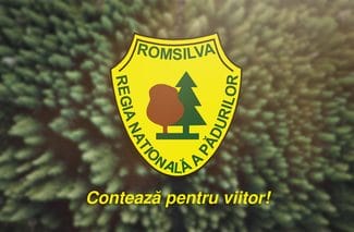 Știri de azi | Guvernul a aprobat bugetul pe 2025 a Regiei Naţionale a Pădurilor Romsilva: Regia îşi propune un nivel al cheltuielilor de 3,4 miliarde lei, în scădere cu 0,3%) - Știri de azi | 