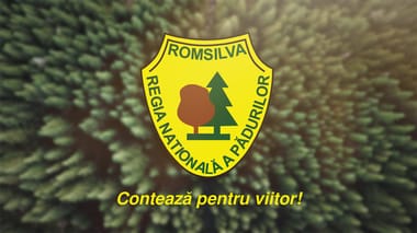 romsilva-26-augjpg - Știri de azi Știri de azi | Guvernul a aprobat bugetul pe 2025 a Regiei Naţionale a Pădurilor Romsilva: Regia îşi propune un nivel al cheltuielilor de 3,4 miliarde lei, în scădere cu 0,3%) - Știri de azi |