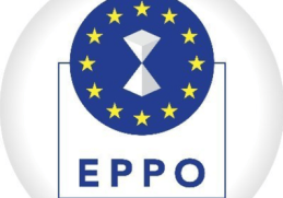 Știri de azi | Peste 100 de percheziţii şi şapte arestări în ţări ale UE, inclusiv România, la cererea Parchetului European. Ancheta vizează o fraudă cu TVA în cazul unor electronice mici, în valoare de 48 de milioane de euro/ Cum funcţiona schema - Știri de azi - Page 46 | 