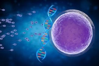 Știri de azi | Mutaţiile genetice din spermatozoizi pe măsură ce bărbaţii înaintează în vârstă cresc riscul de boli la copii, sugerează un studiu - Știri de azi | 