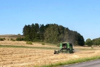 suedia-cereale-stocuri-strategice-twjpg - Știri de azi Știri de azi | Suedia urmează să-şi constituie primele rezerve strategice de cereale, de folosit în caz de război sau de criză, în urma unei creşteri a tensiunilor cu Rusia - Știri de azi |